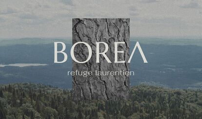 BOREA's Laurentian Retreat logo with a tree bark texture superimposed on a landscape of boreal forest and mountains.