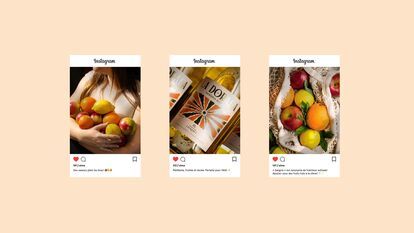 Montage de trois publications Instagram, avec à gauche une femme tenant dans ses bras des pommes rouges, des oranges et des citrons, au centre un gros plan sur des bouteilles de sangria La Dorada du Domaine Lafrance, à droite un sac en filet rempli de pom