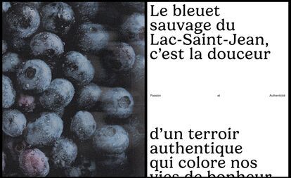 A vertically divided image. The left section shows a close-up of numerous fresh blueberries, covered in a fine layer of frost or moisture. The right section contains French text: 
