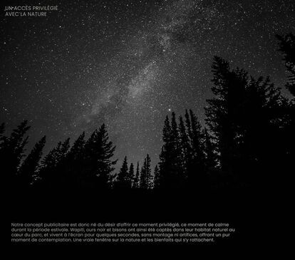 A starry night sky with the Milky Way visible above a silhouette of a coniferous forest. The overlaid text describes an advertising concept aiming to offer a moment of calm during summertime, featuring wild animals in their natural habitat.