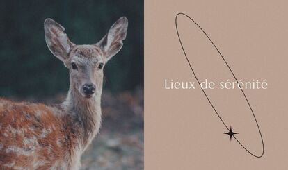 A young spotted deer looks at the camera with a peaceful expression. The background is blurred and the text “Places of serenity” is written beside it.