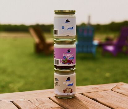 Photographie de pots de yogourt Lait Charbonneau empilés en plein air, reflétant la fraîcheur, la qualité locale et la direction artistique naturelle imaginée par Erod.