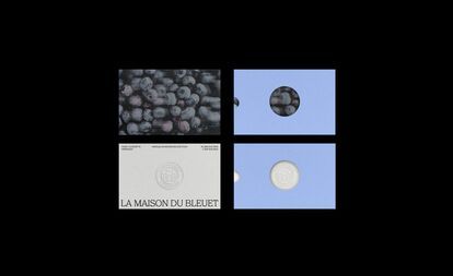 Une image divisée en quatre sections sur fond noir. En haut à gauche, un gros plan de bleuets frais. En haut à droite, un bleuet encerclé sur un fond bleu clair. En bas à gauche, une carte de visite blanche avec le logo et le nom 